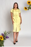 Плаття Мегги А5 EM685301 жовтого кольору